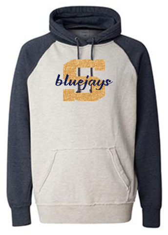 Shepherd Football Spirit Gear - 2026 - Adult Hoodie - J. America Vintage Heather Hood - 9.5oz
