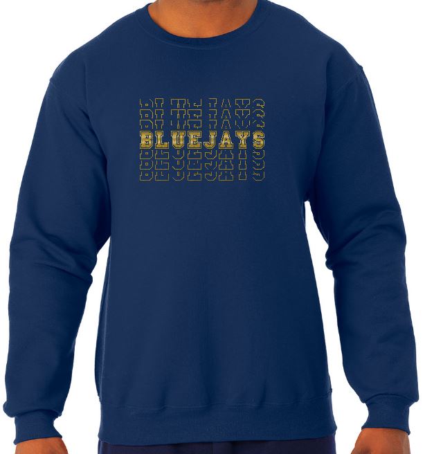 Shepherd Spirit Gear - 2021-#2 - Youth Crew Neck Sweatshirt - Jerzees NuBlend