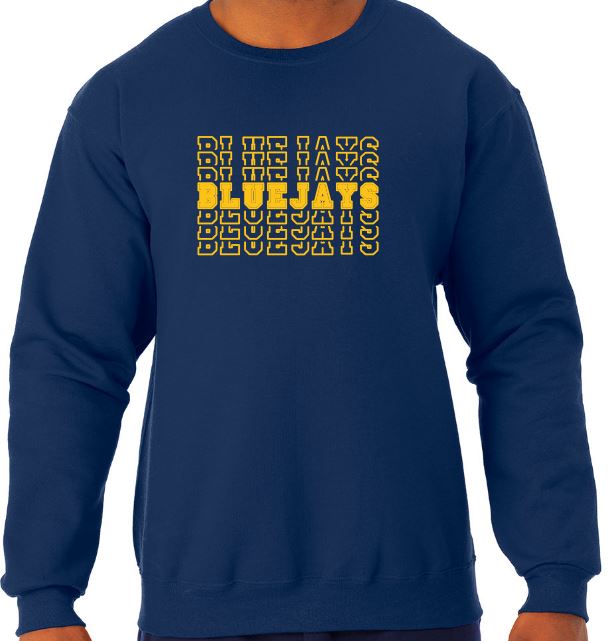 Shepherd Spirit Gear - 2021-#2 - Youth Crew Neck Sweatshirt - Jerzees NuBlend