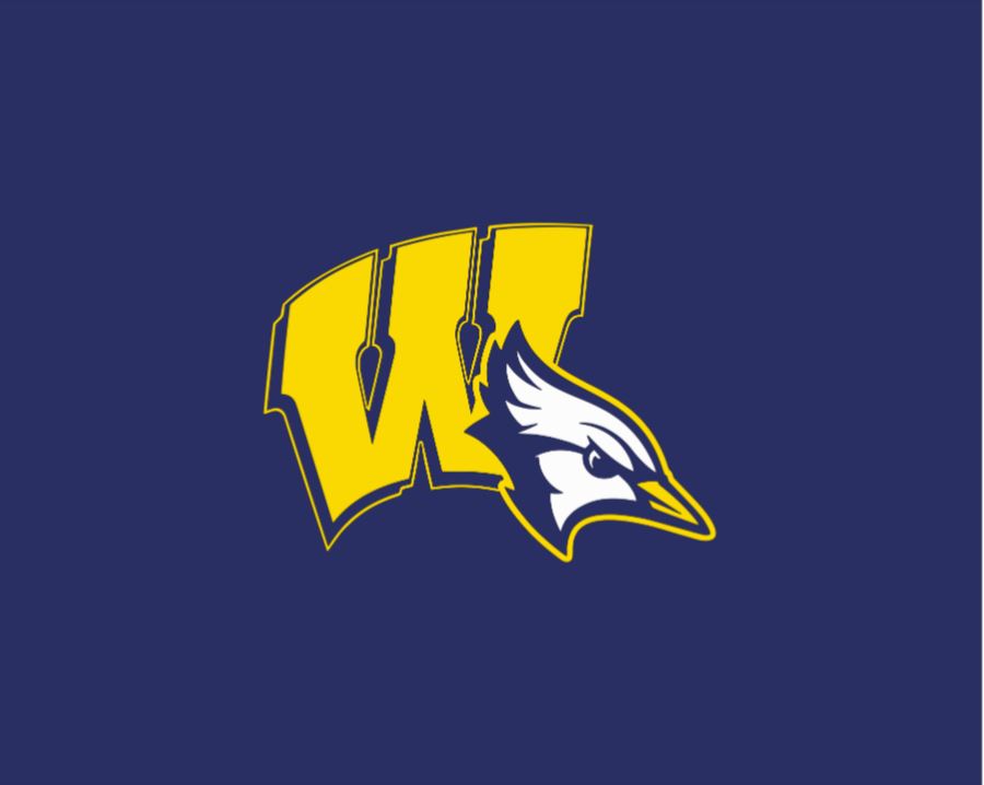 Winn Elementary - Stadium Blanket - Gildan® DryBlend® Fleece Stadium Blanket - 9.3 oz