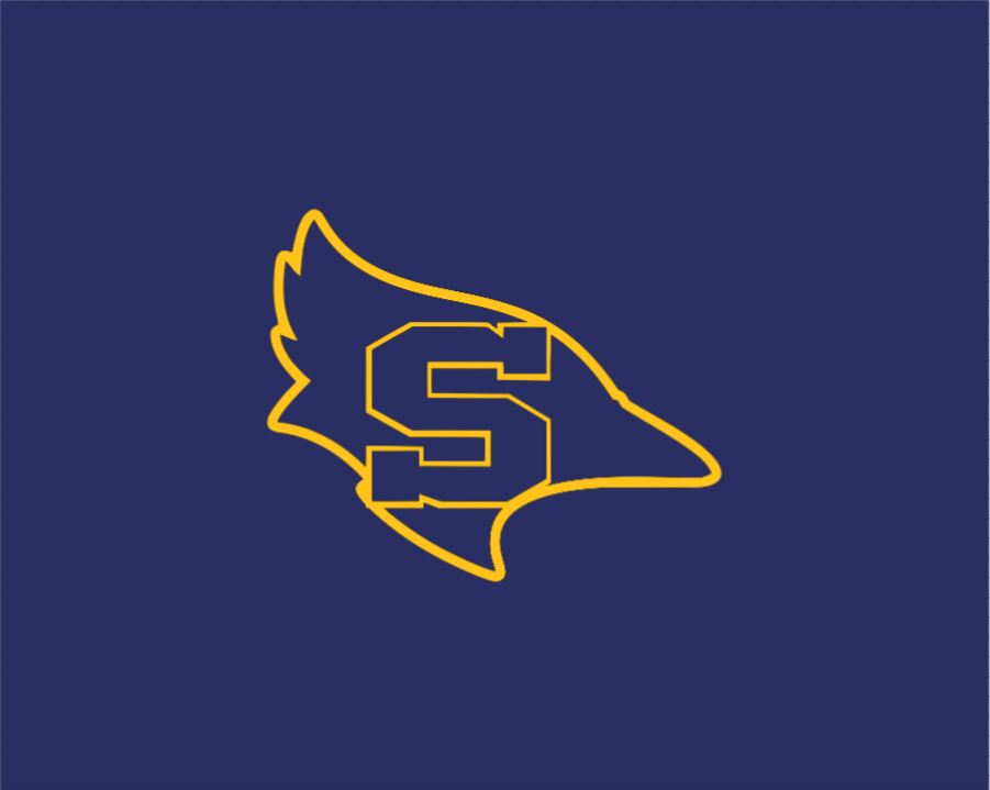 Shepherd Spirit Gear - Stadium Blanket - Gildan® DryBlend® Fleece Stadium Blanket - 9.3 oz